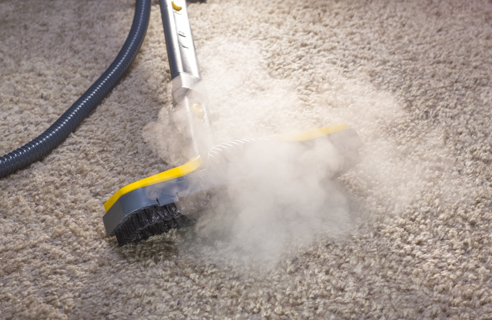 What Can You Clean with a Steam Cleaner?