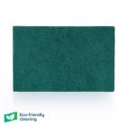 Eco Caterers Scourers x10