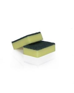 Sponge Scourers x10