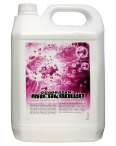 Quadrasan Breakdown Cleaner 5L x2