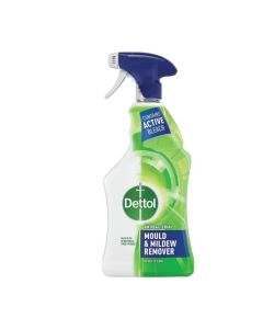 Dettol Mould & Mildew Remover 750ml