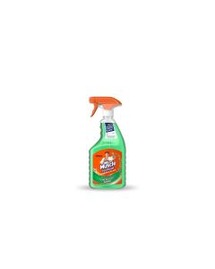 Mr Muscle Platinum Window & Glass Cleaner 750ml