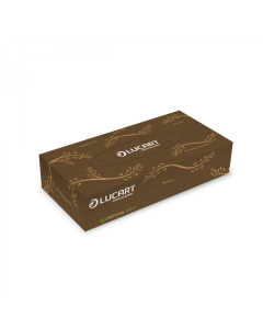 EcoNatural Facial Tissue 100 Sheets x40