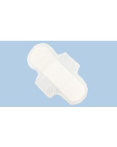 Care and Protect Regular Ultra Pads with Wings x500