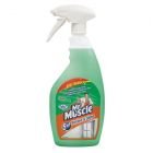 Mr Muscle Glass Cleaner 750ML